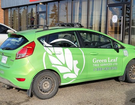 wrap-stickeroo-calgary